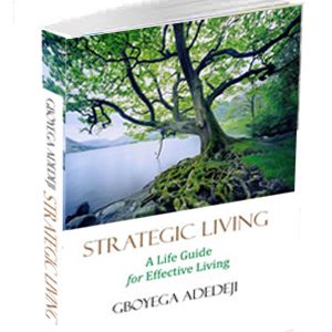 Strategic Living: A Life Guide for Effective Living By Gboyega Adedeji