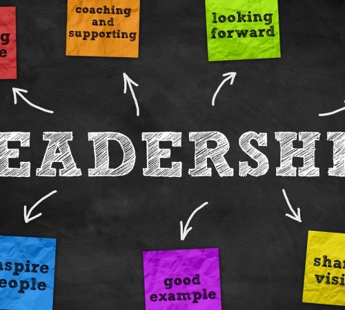 leadership-development-coaching-with-Gboyega-Lara-Adedeji-Inspiremygemcom-banner